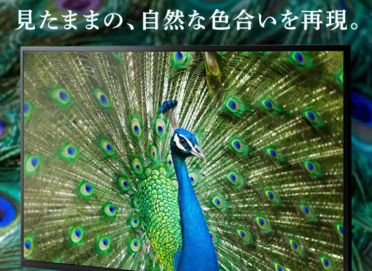 液晶テレビ 32インチ 32WB10P(サブスクレンタル)